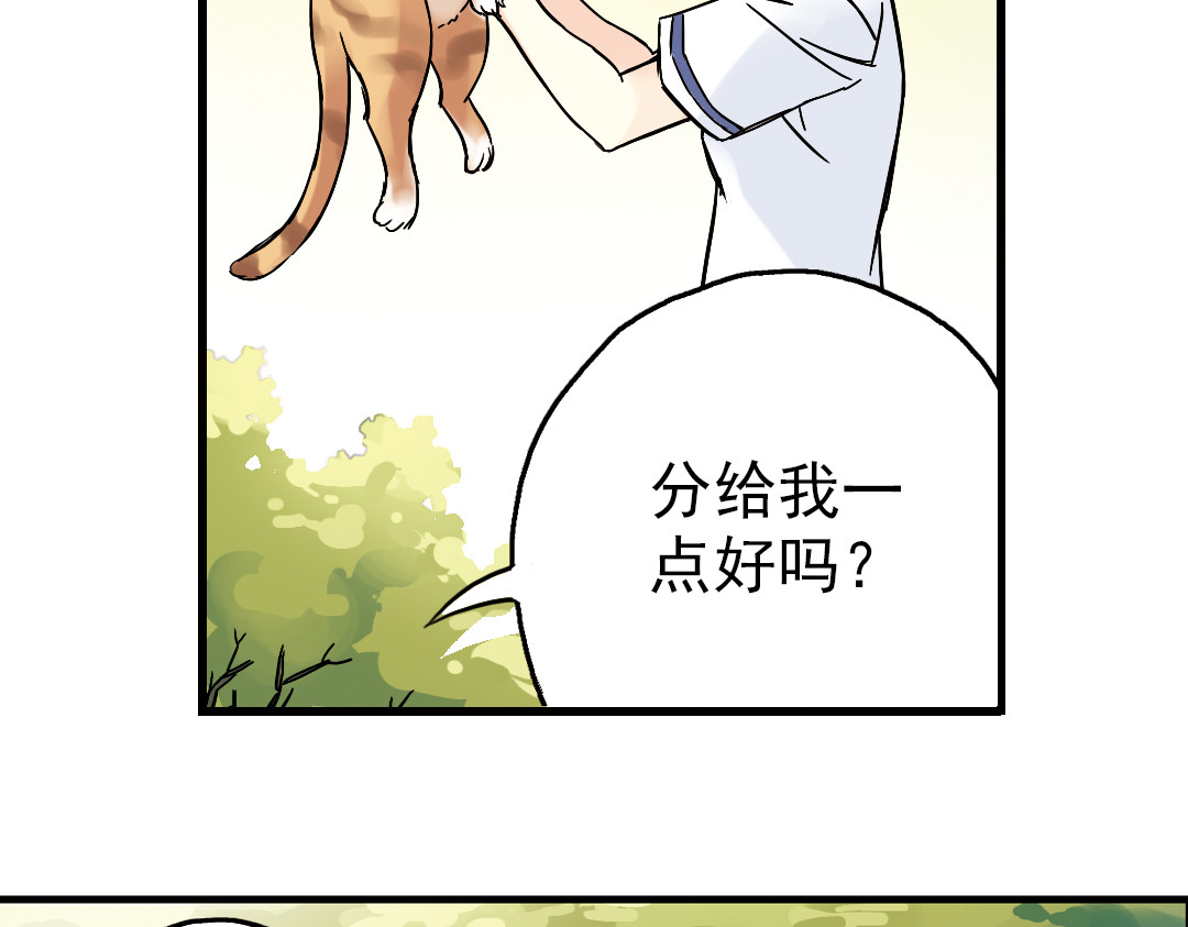 土星玩具店 第2话 猫之念（二） 第12页