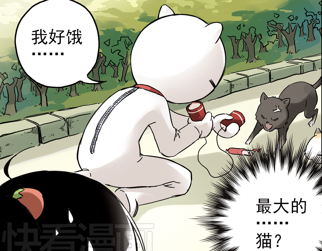 土星玩具店 第2话 猫之念（二） 第13页