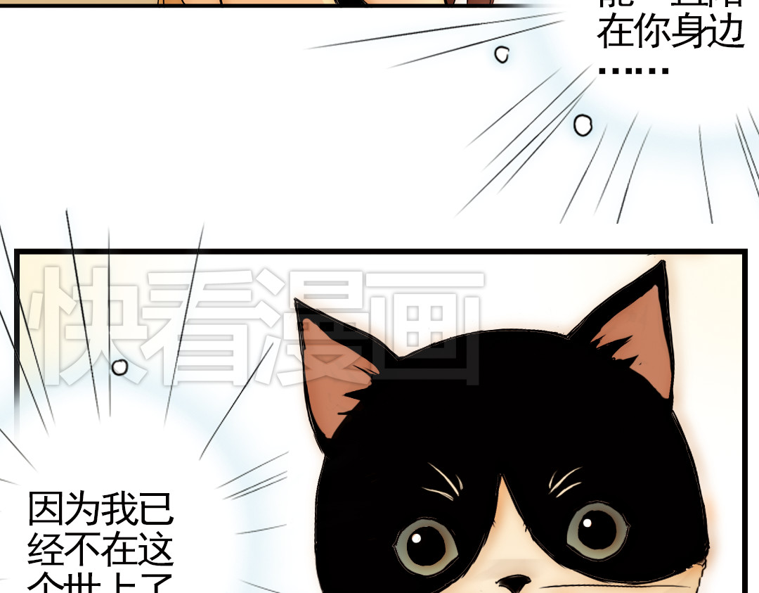土星玩具店 第4话 猫之念（四） 第39页