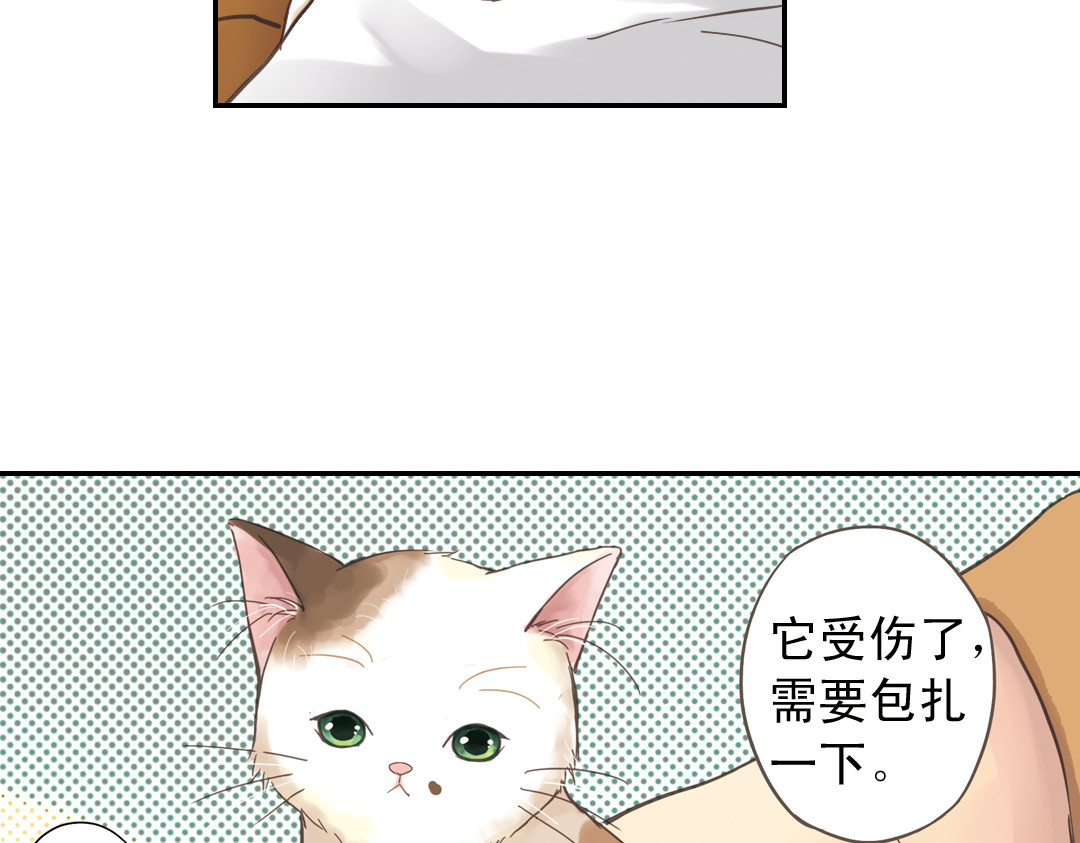薄荷之夏 第2话 别扭星人 第72页