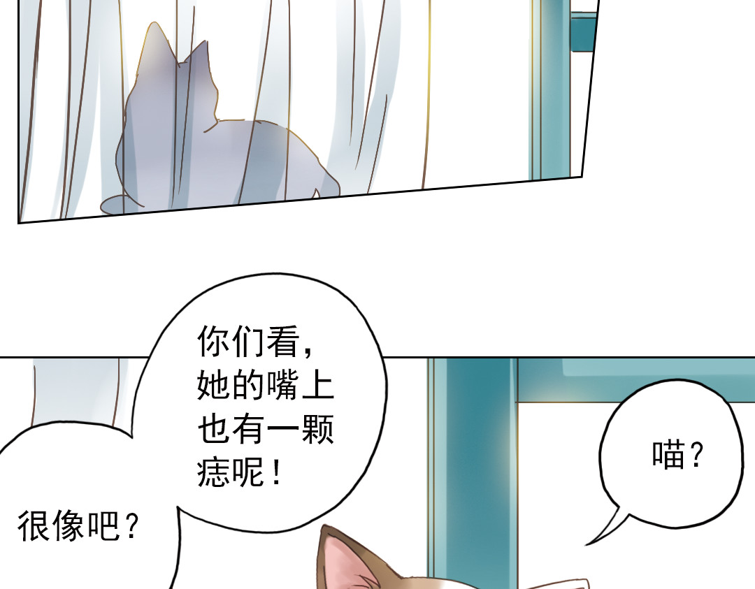 薄荷之夏 第6话 让人心跳的黄昏 第53页