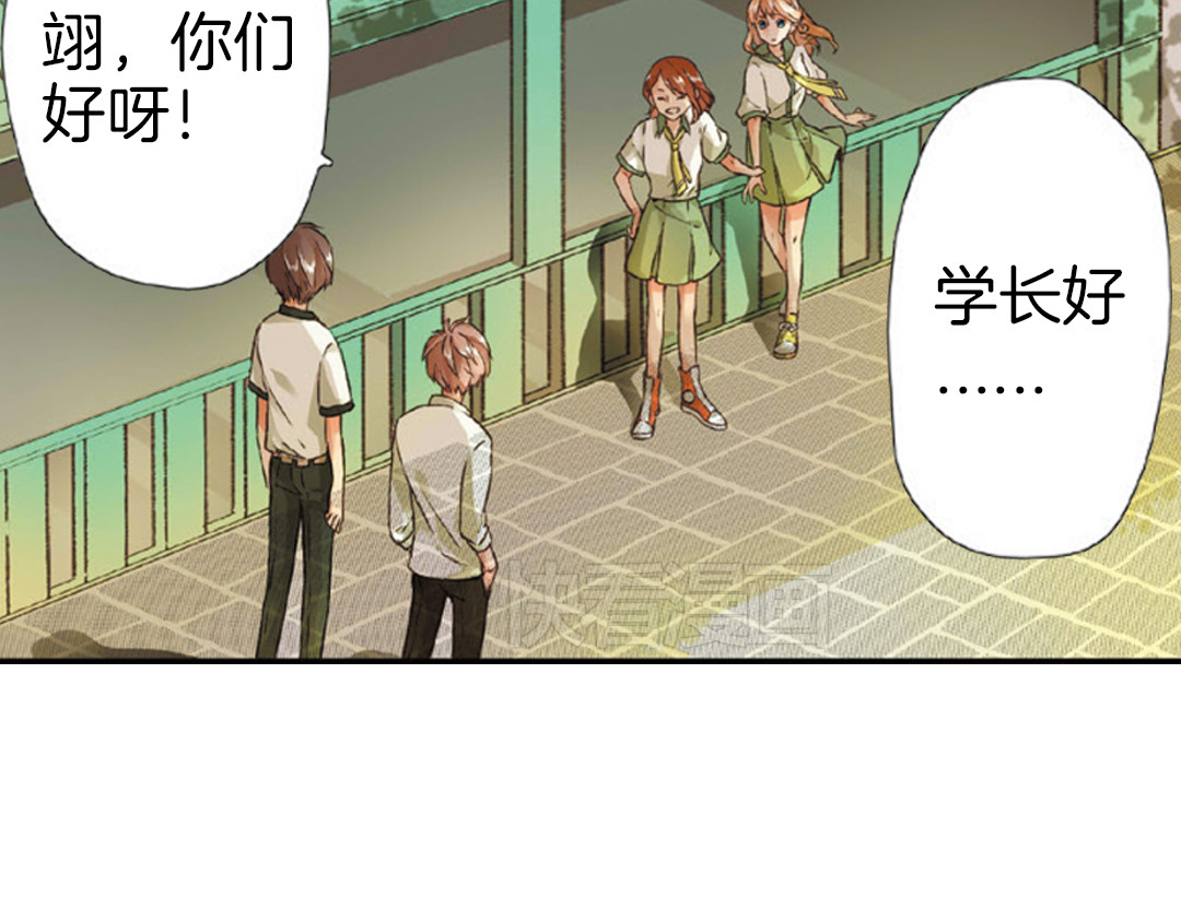恋是樱草色 第4话 相遇（下） 第4页