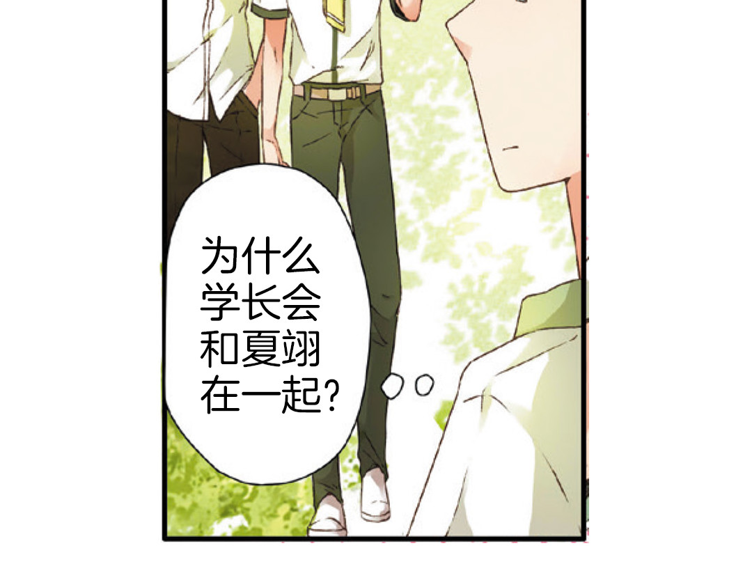 恋是樱草色 第4话 相遇（下） 第6页