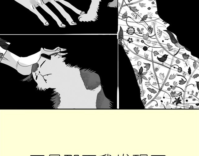毛绒绒 第3话 也许我只适合跟它做朋友 第40页