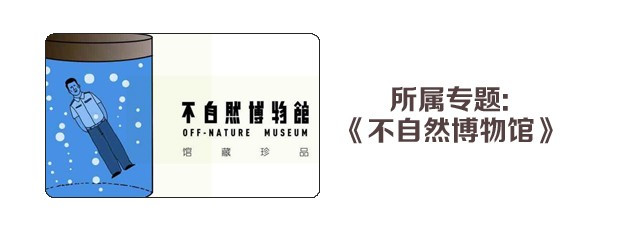 不自然博物馆 用心良苦的妈妈 第33页