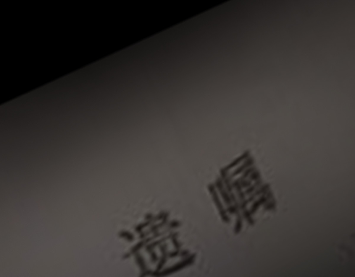 恐惧灵魂 安全小区—遗产 第2页