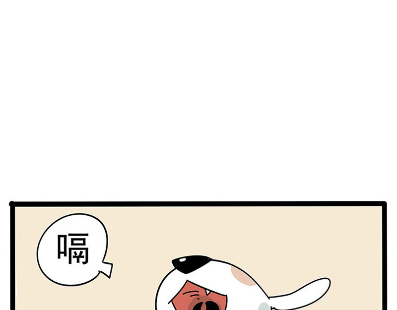 废柴狐阿桔 番外 第12页