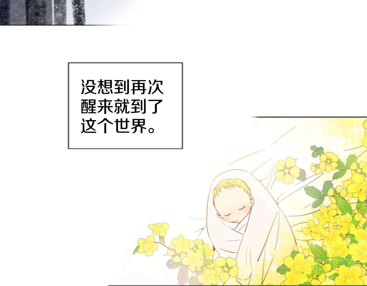 某天成为公主 第1+2话 穿越成公主了？ 第58页