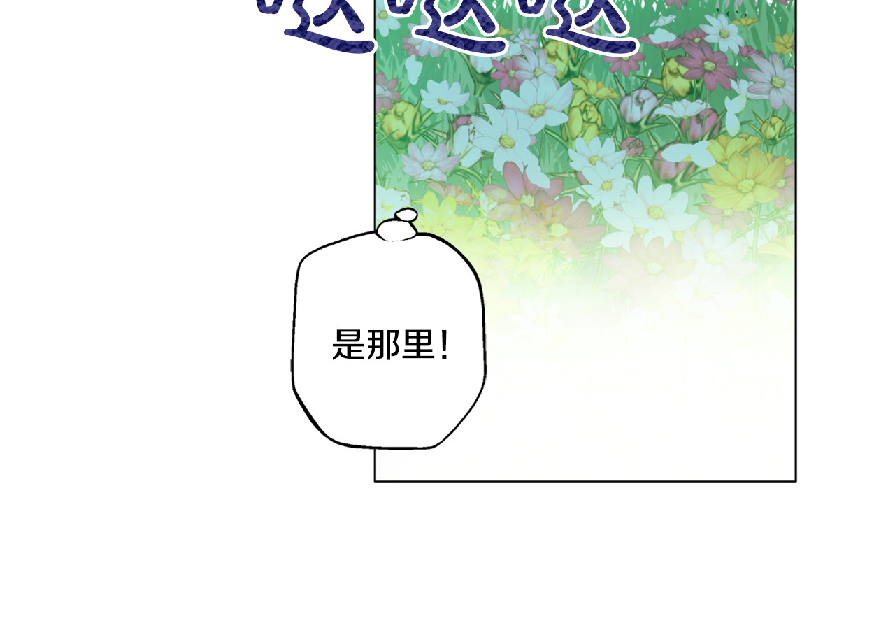 某天成为公主 第5话 我迷路了？ 第6页