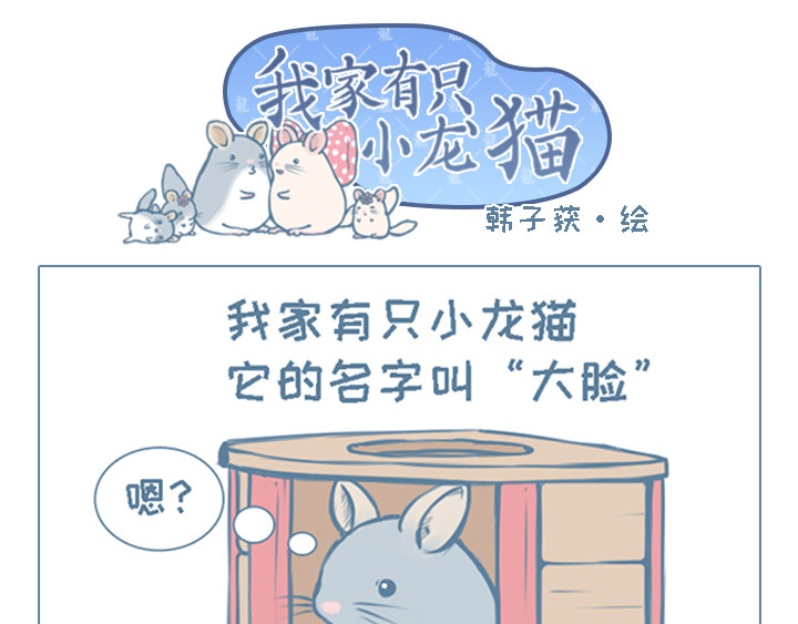 我家有只小龙猫 第1页