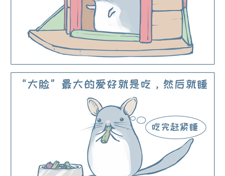 我家有只小龙猫 第2页