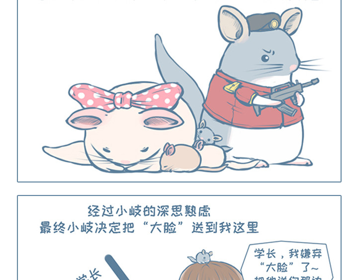 我家有只小龙猫 第4页