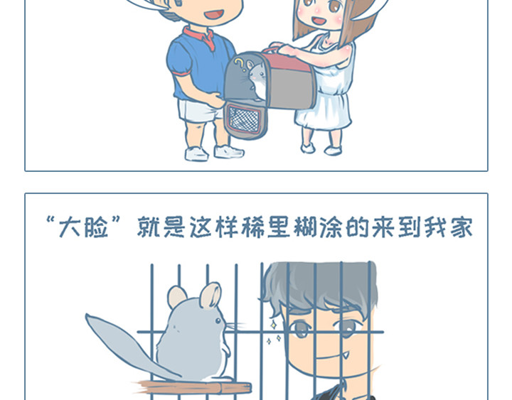我家有只小龙猫 第6页