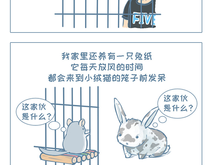 我家有只小龙猫 第7页