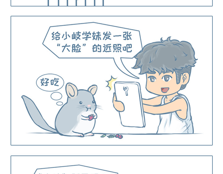 我家有只小龙猫 第8页