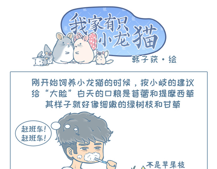我家有只小龙猫 第2个小故事集合 第11页