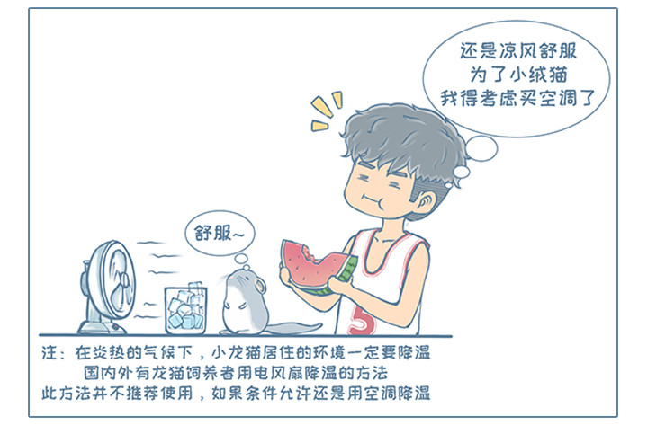 我家有只小龙猫 第2个小故事集合 第17页