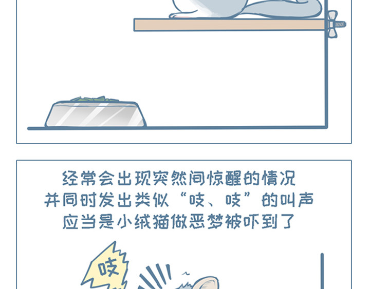 我家有只小龙猫 第2个小故事集合 第19页
