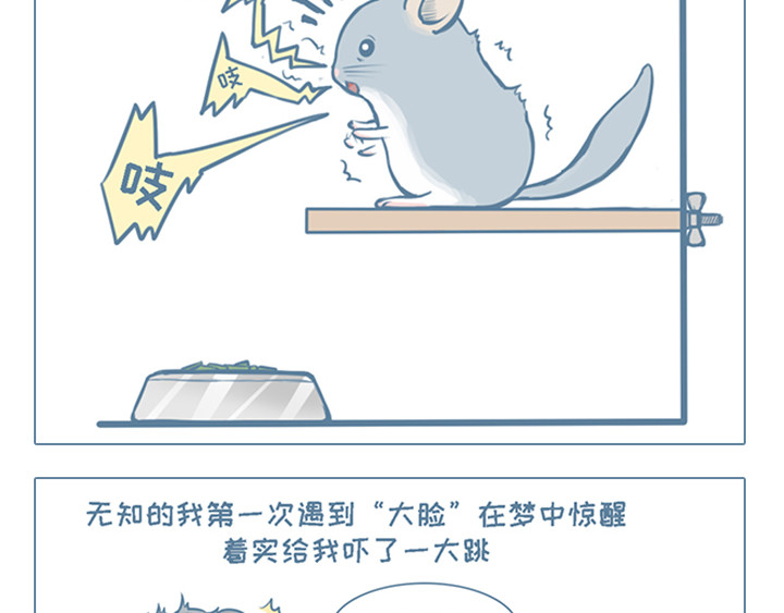 我家有只小龙猫 第2个小故事集合 第20页