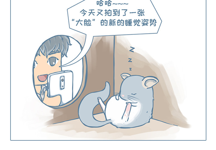 我家有只小龙猫 第3个小故事集合 第12页
