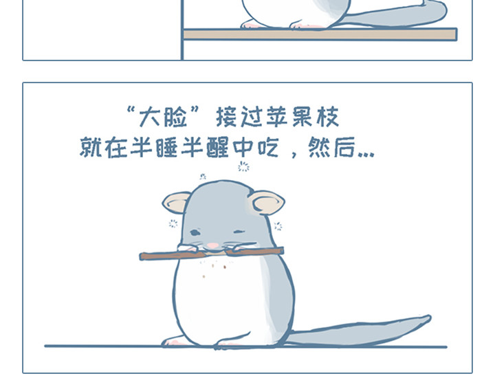 我家有只小龙猫 第3个小故事集合 第3页