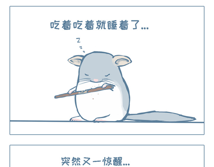 我家有只小龙猫 第3个小故事集合 第4页