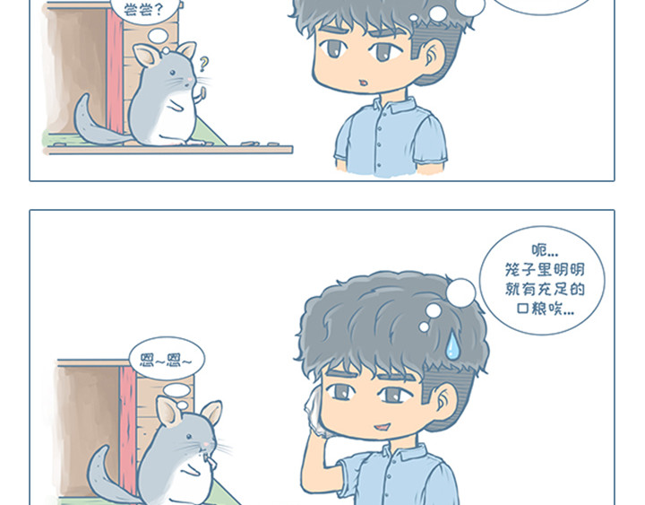 我家有只小龙猫 第4个小故事集合 第21页
