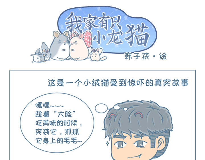 我家有只小龙猫 第5个小故事集合 第1页