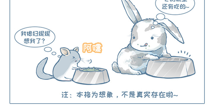 我家有只小龙猫 第5个小故事集合 第11页