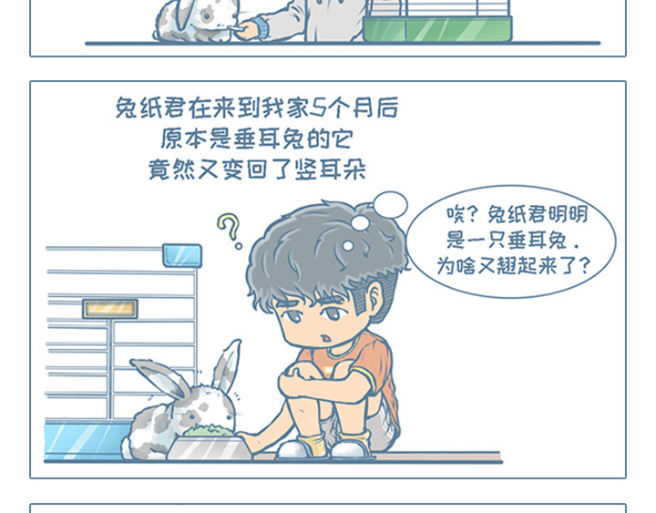 我家有只小龙猫 第5个小故事集合 第13页