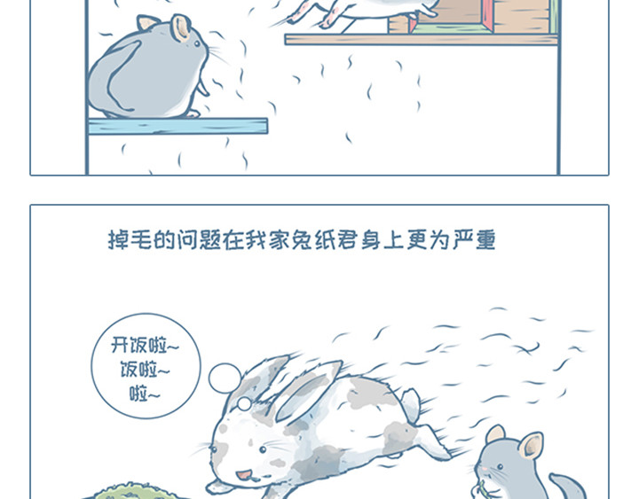 我家有只小龙猫 第5个小故事集合 第6页