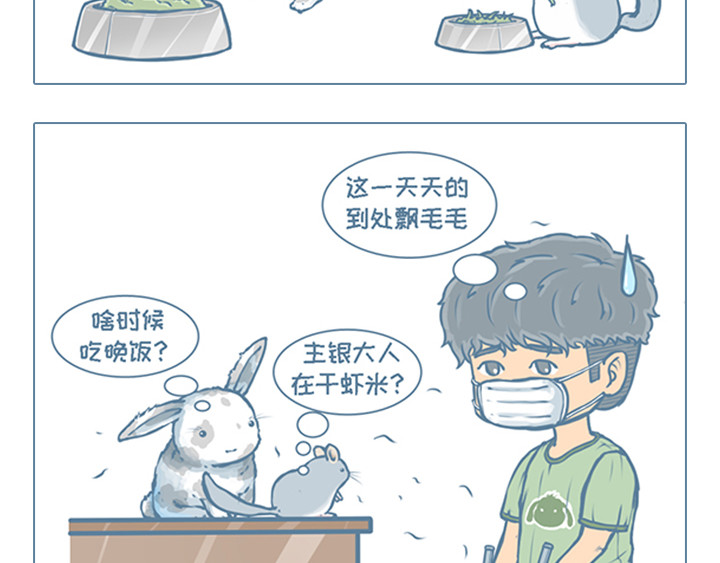 我家有只小龙猫 第5个小故事集合 第7页