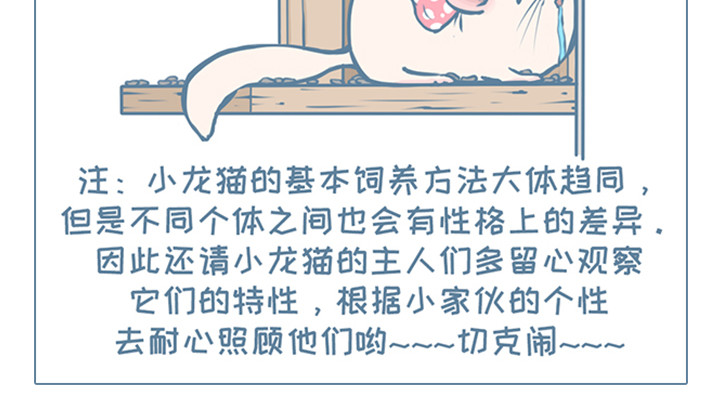 我家有只小龙猫 第6个小故事集合 第15页