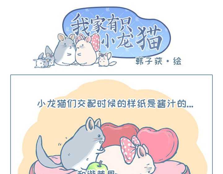 我家有只小龙猫 第6个小故事集合 第24页