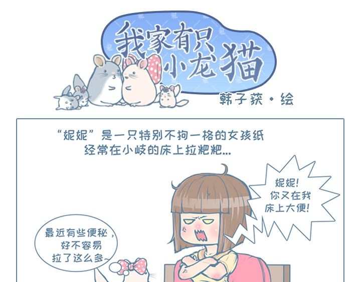 我家有只小龙猫 第6个小故事集合 第9页