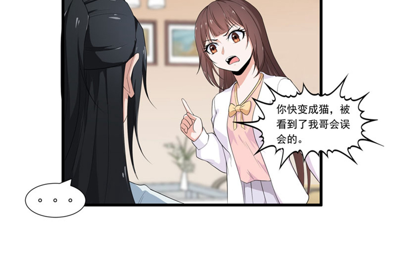 她是猫 3 哥哥来了 第35页