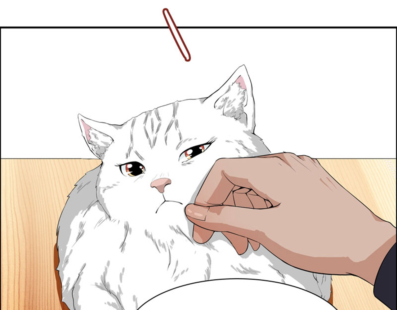 她是猫 6 这是只有想法的猫 第46页