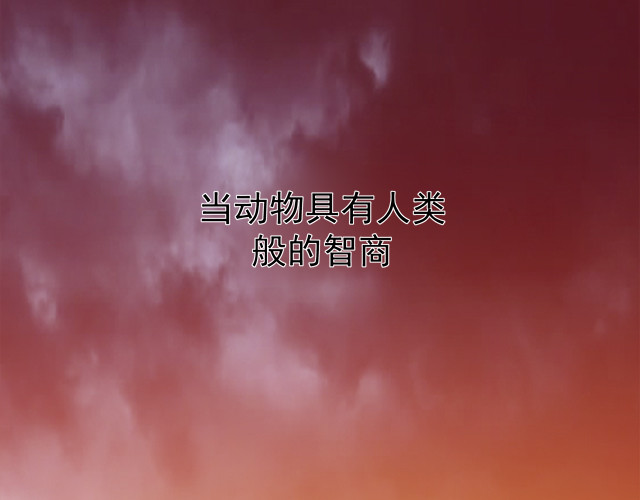 光合狂想曲 第1页