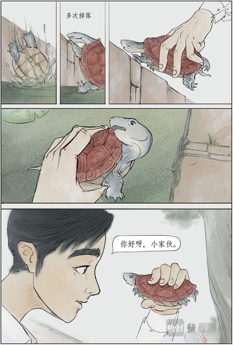 七星灯草 第8页