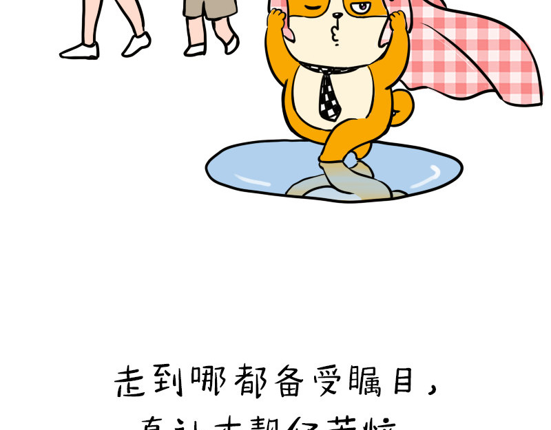 书单狗的异想世界 史上最省钱的旅游攻略！ 第44页