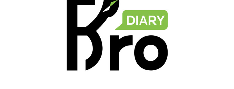 Bro日记 第五话 第2页