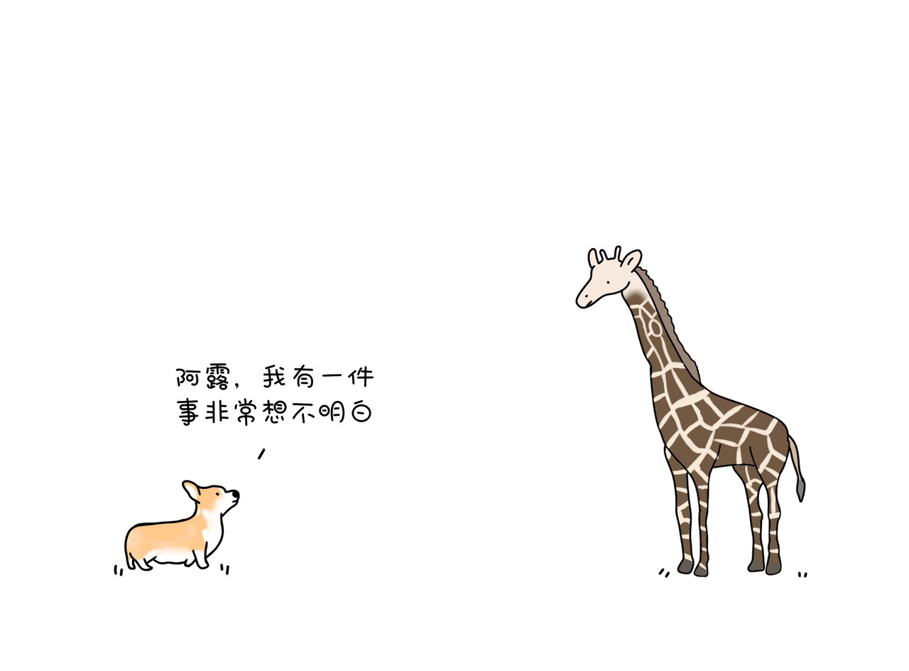 动物联盟 第1页
