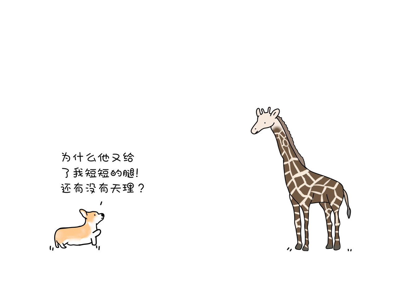 动物联盟 第4页