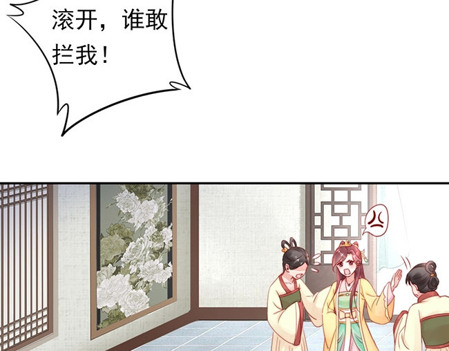 帝宫东凰飞 第3话 小姑子前来闹事 第44页