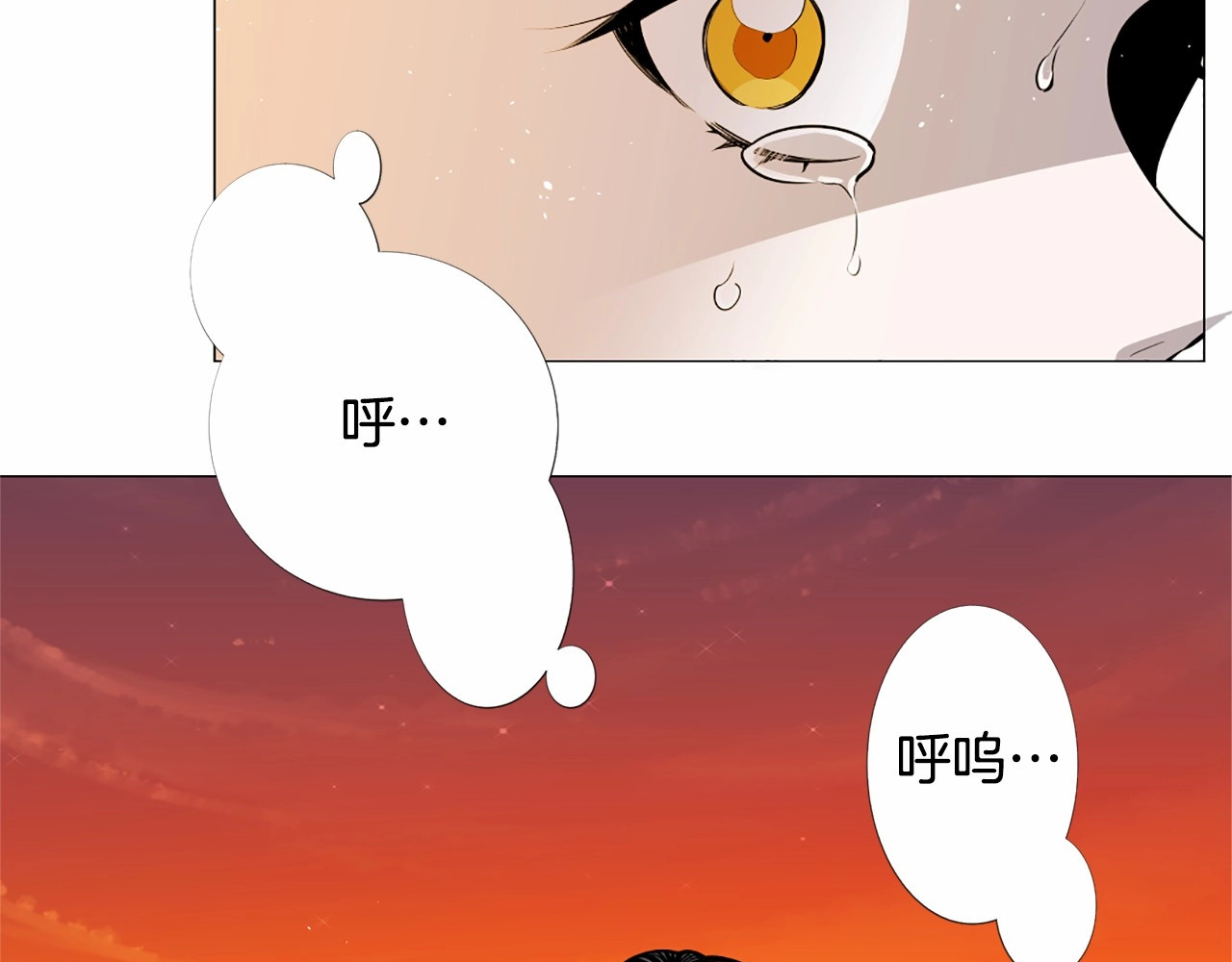 Lady to Queen-胜者为后 第5话 成为王后只是一个失误？ 第84页