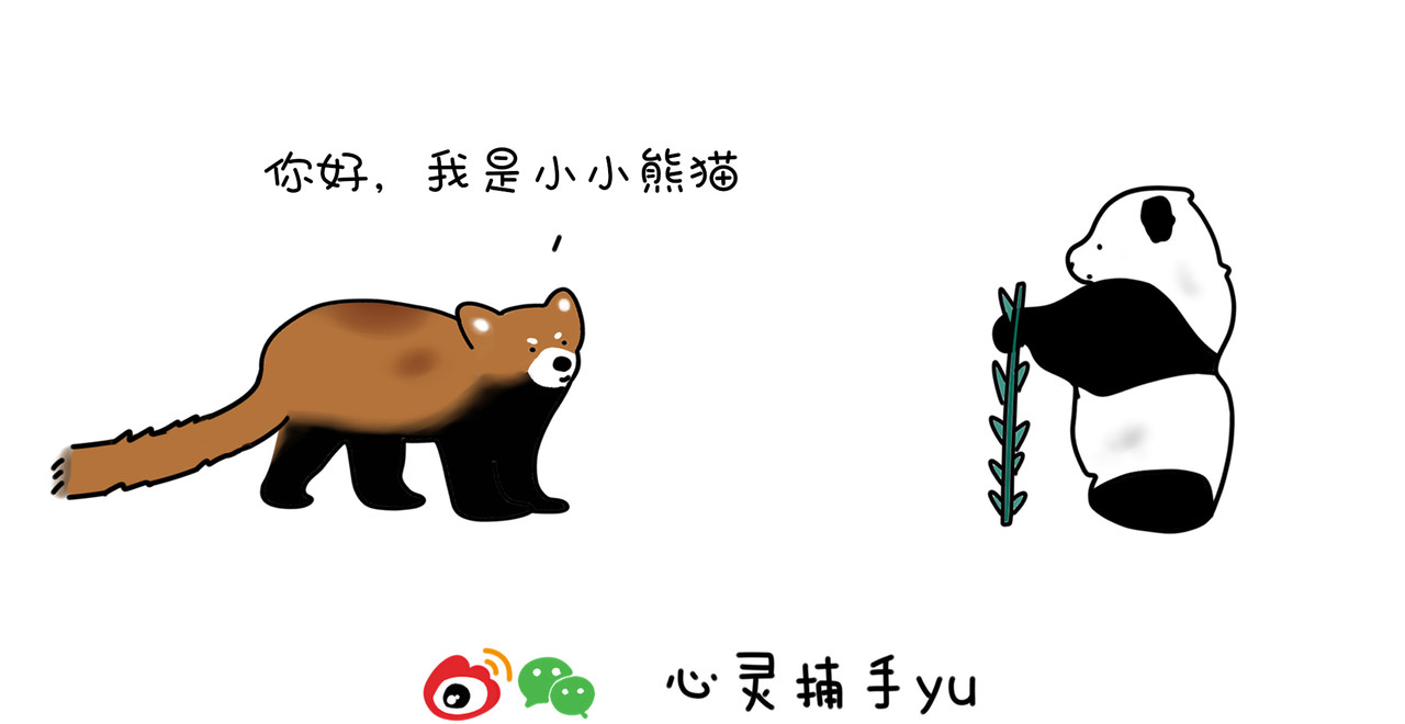 动物联盟 明天我再喜欢你 第2页