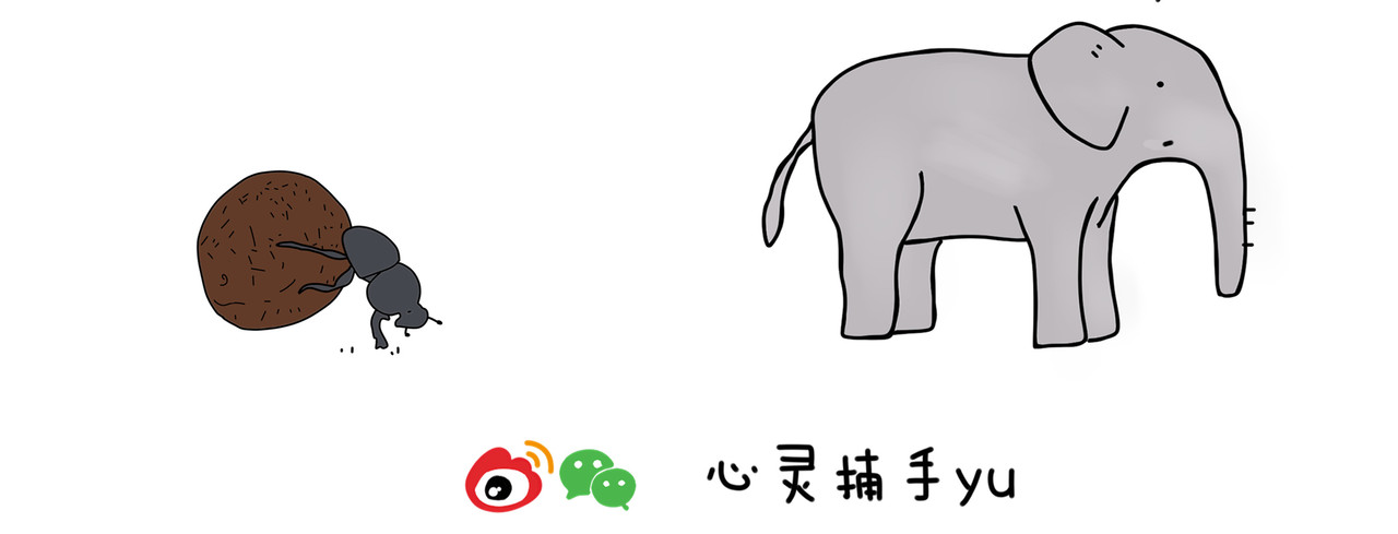 动物联盟 明天我再喜欢你 第28页