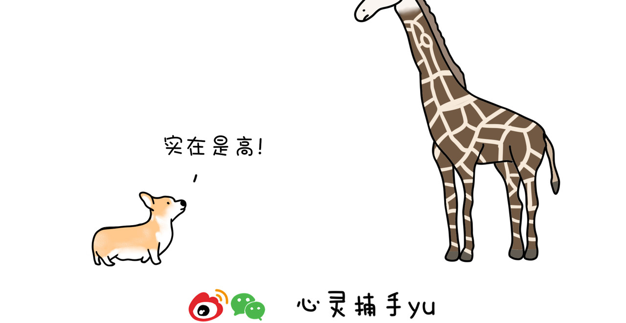 动物联盟 明天我再喜欢你 第4页