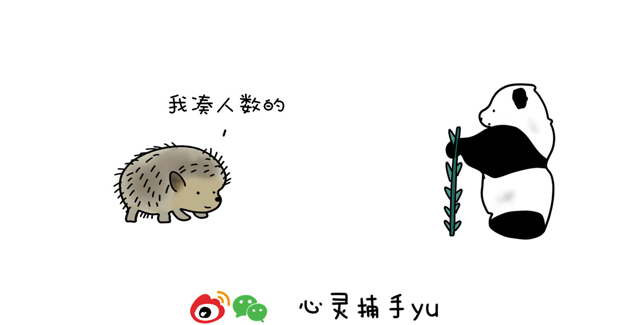 动物联盟 都是我的菜 第2页
