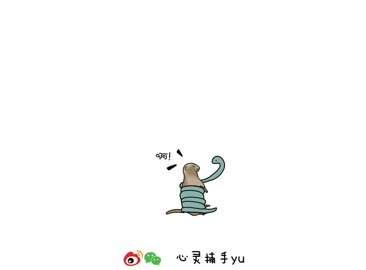 动物联盟 都是我的菜 第11页